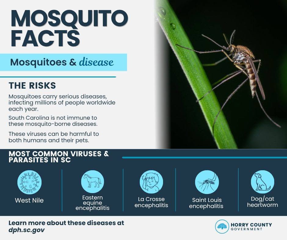 A flyer discussing the risk of mosquitos spreading disease.