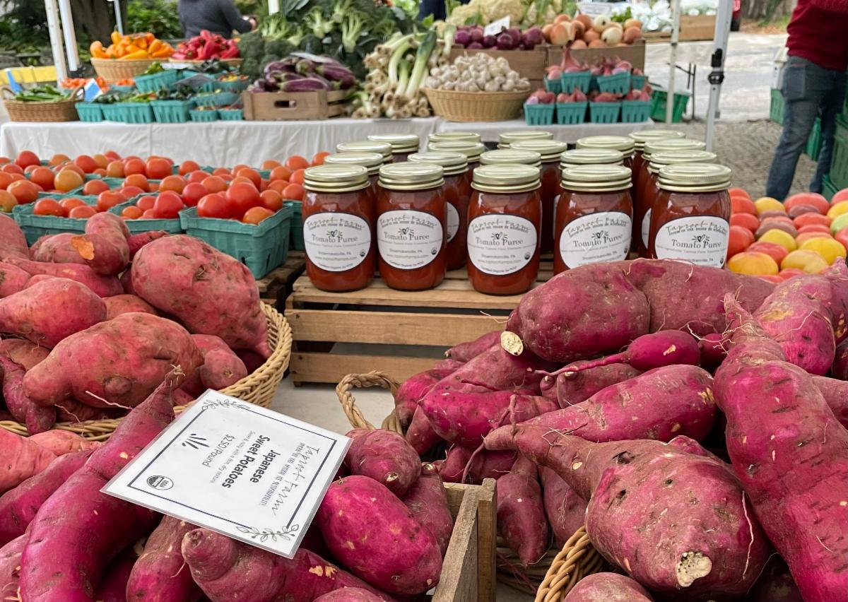 Taproot Puree October