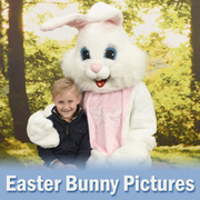 Easter Bunny Pictures