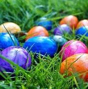 Easter egg hunt