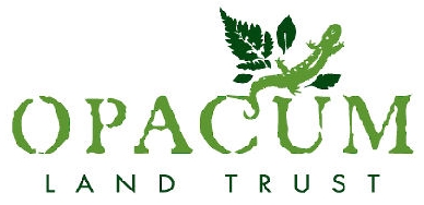 Opacum LT