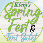 Spring Fest