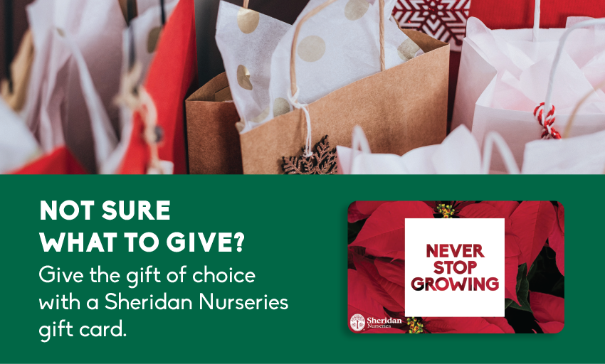 Gift giving made easy