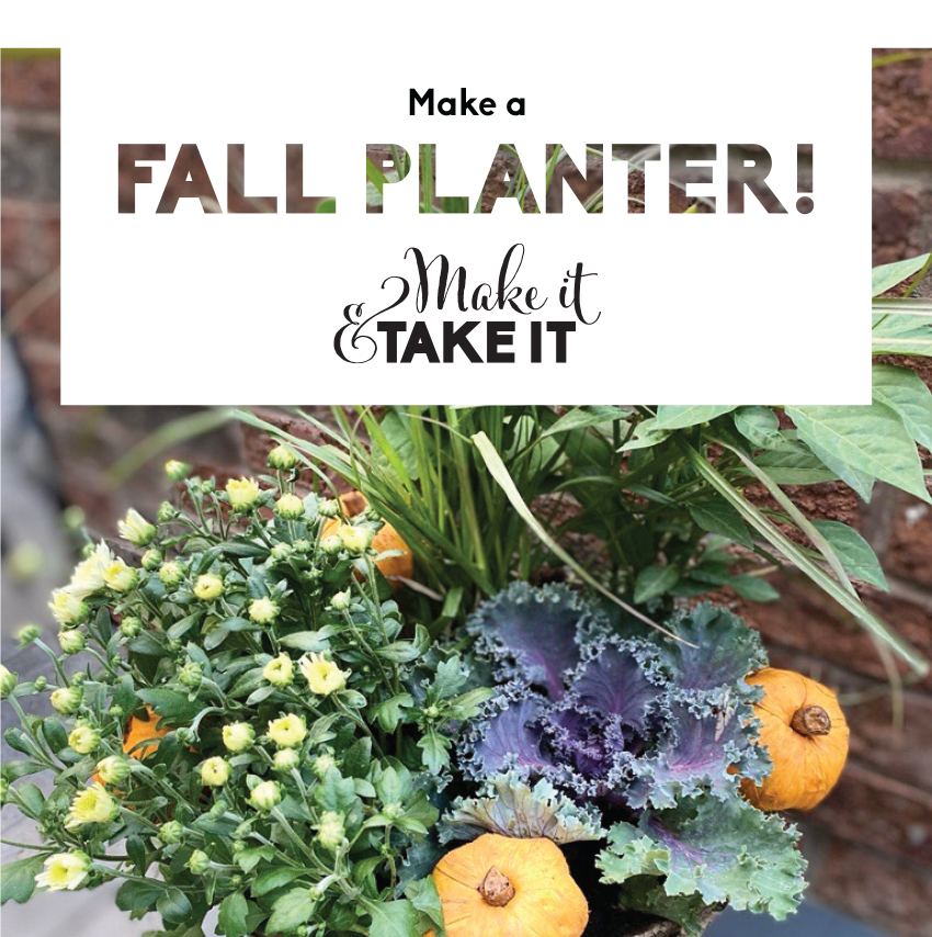 Join us this September to make a Fall Planter