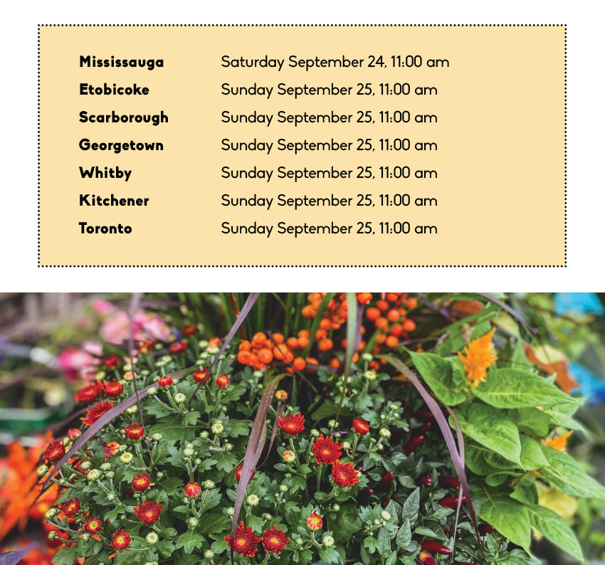 Join us this September to make a Fall Planter