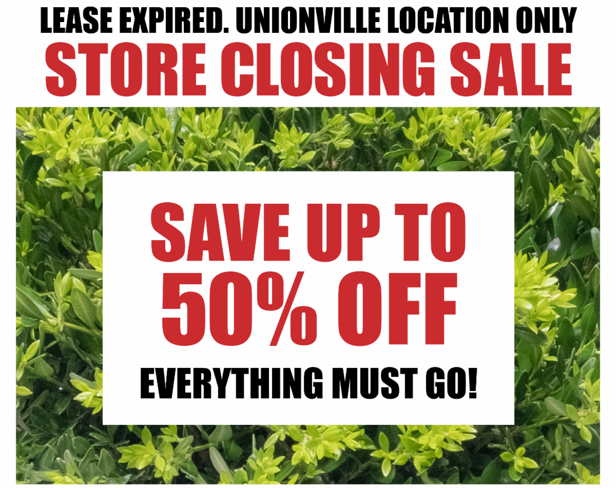 Store Closing Sale Continues Save Up To 50 Off