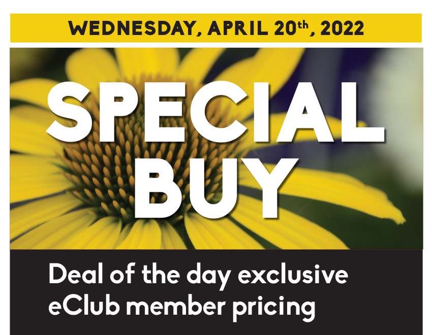 One day only special buy 