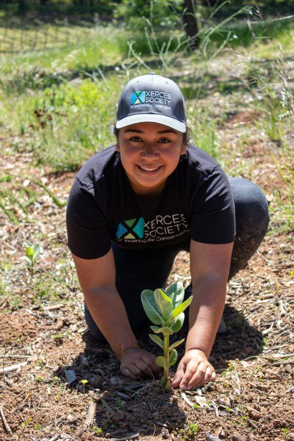 Xerces staff member planting milkweed and smiling