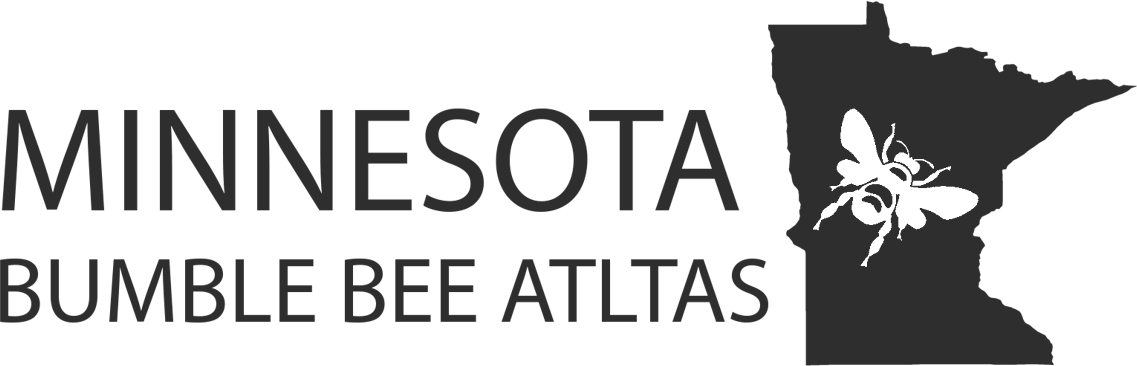 Minnesota Bumble Bee Atlas logo