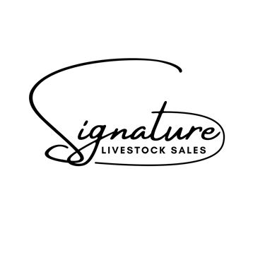 branding logo