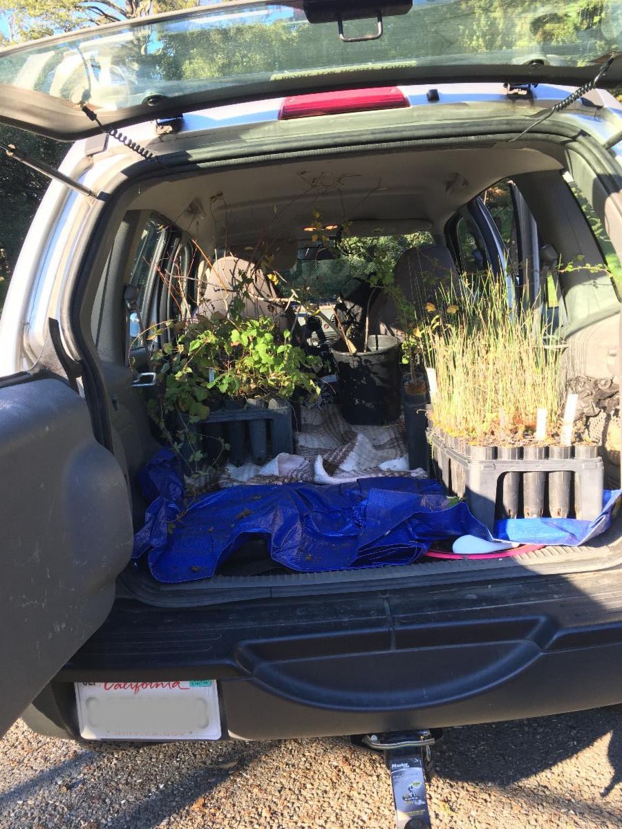 Friends Of Sausal Creek s January 2022 Newsletter