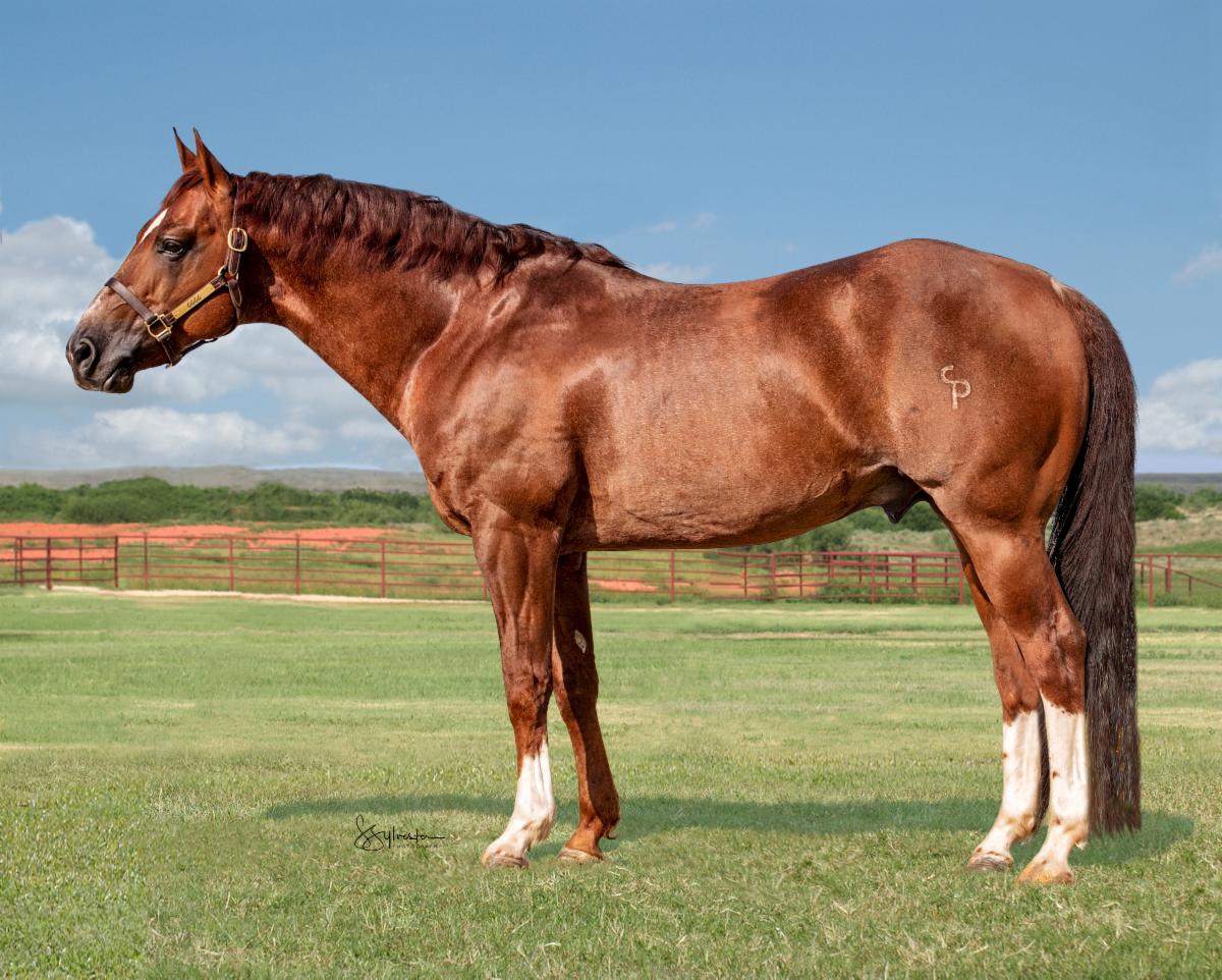 Offering a UNIQUE OPPORTUNITY for 2022 Breeding Season!