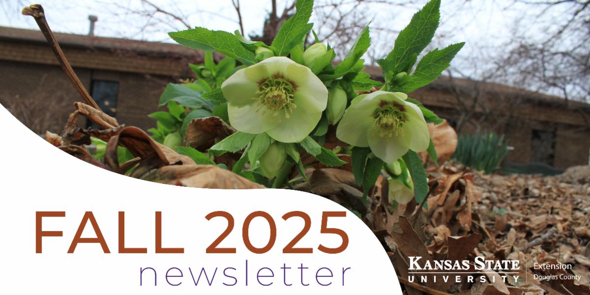 kansas state university extension douglas county fall newsletter banner