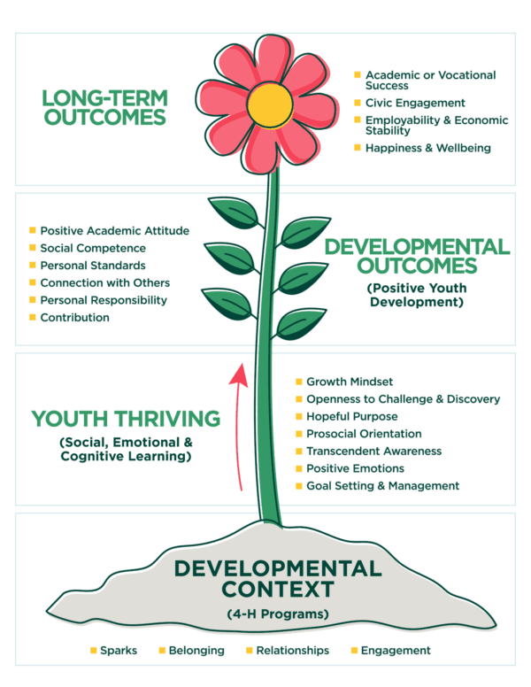 4-h thrive model long- term developmental context info-graphic