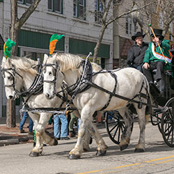 St. Patrick’s Day Celebration