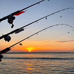 Lake Michigan charter fishing