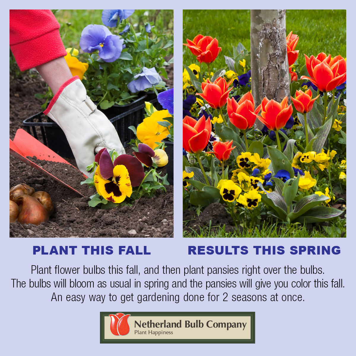 Daniel's Farm and Greenhouses We grow color for your home.