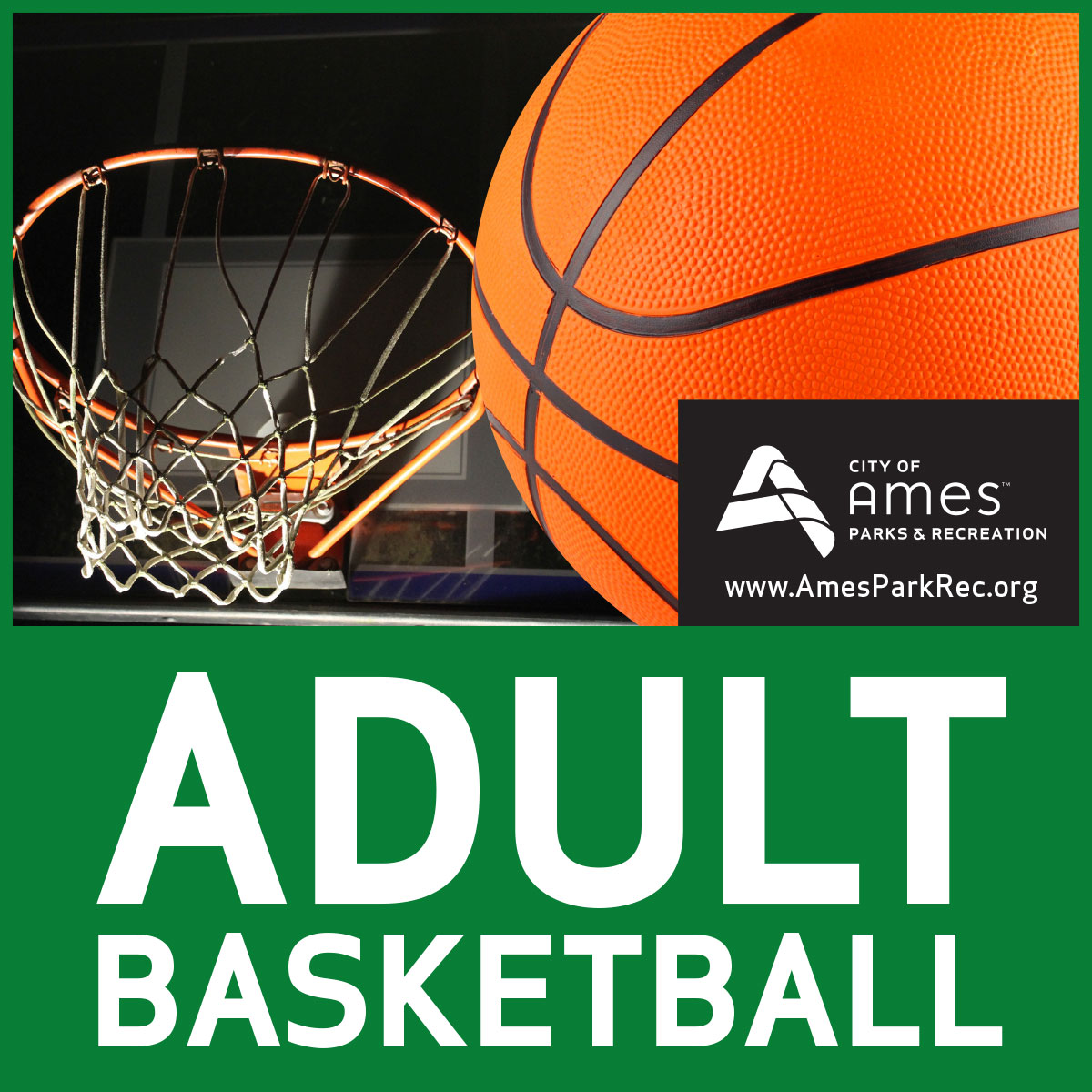 Adult basketball announcement