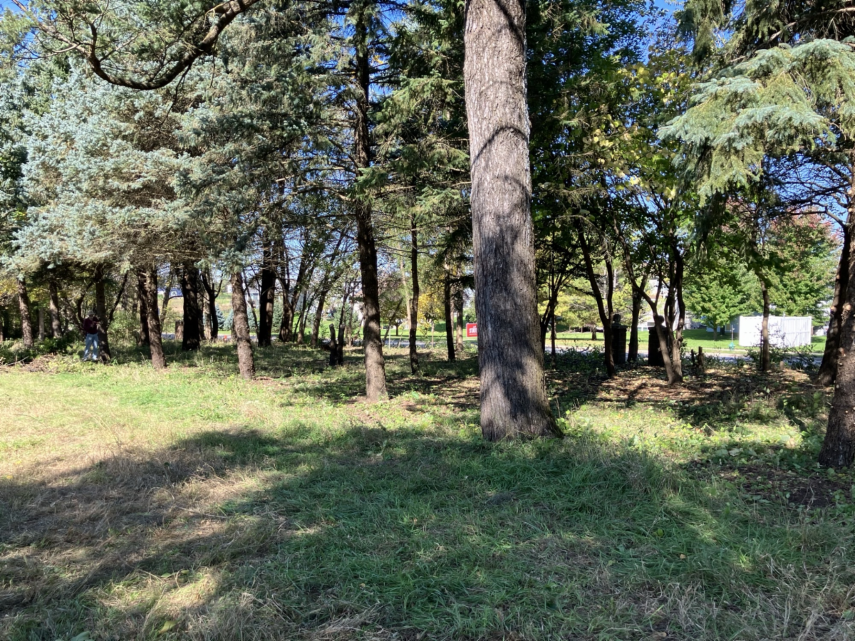 Ontario Park after volunteers cleaned up.