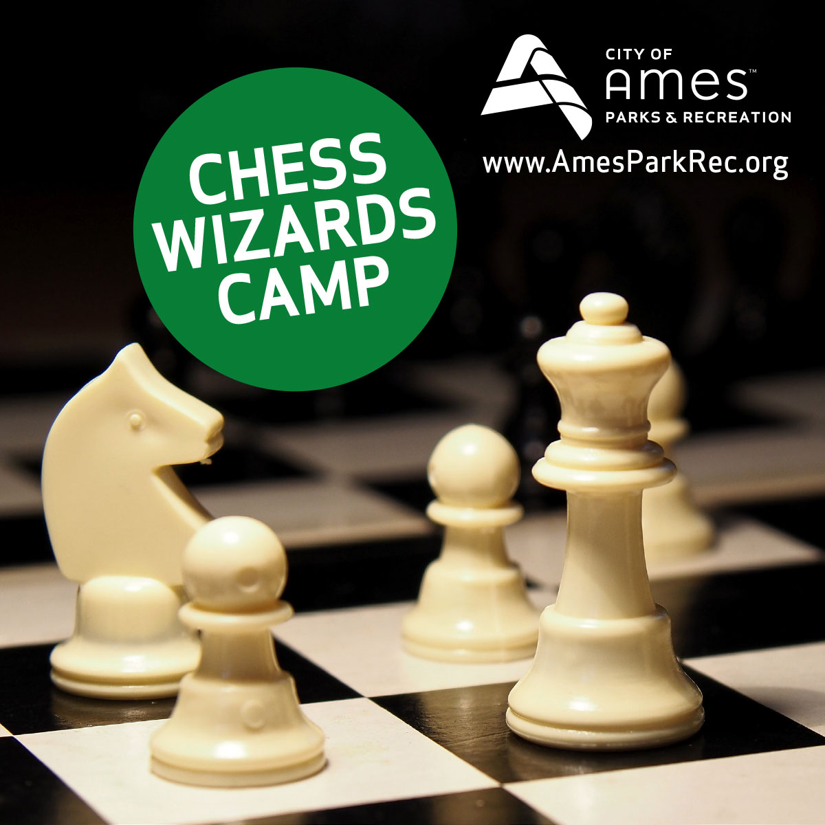 Chess wizard announcement