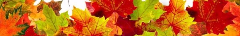 header_autumn_leaves.jpg