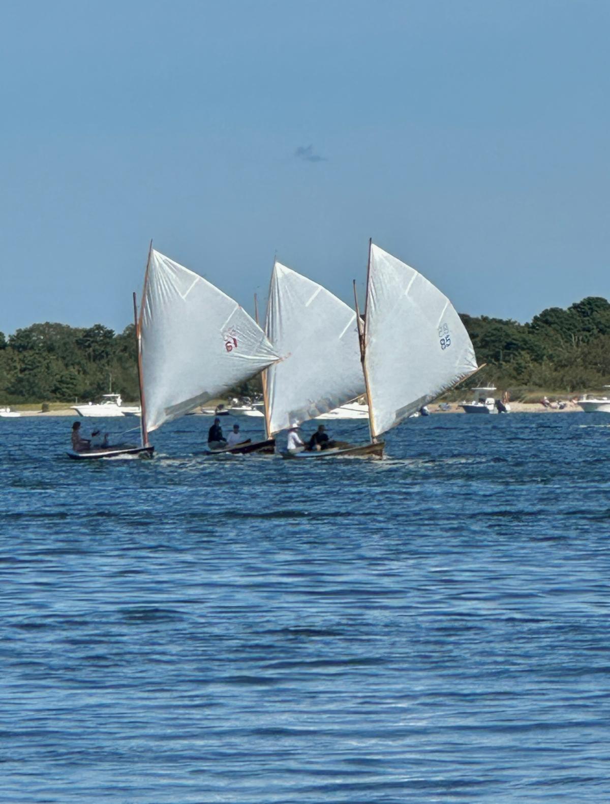 Cotuit skiff race. Karl Vasiloff