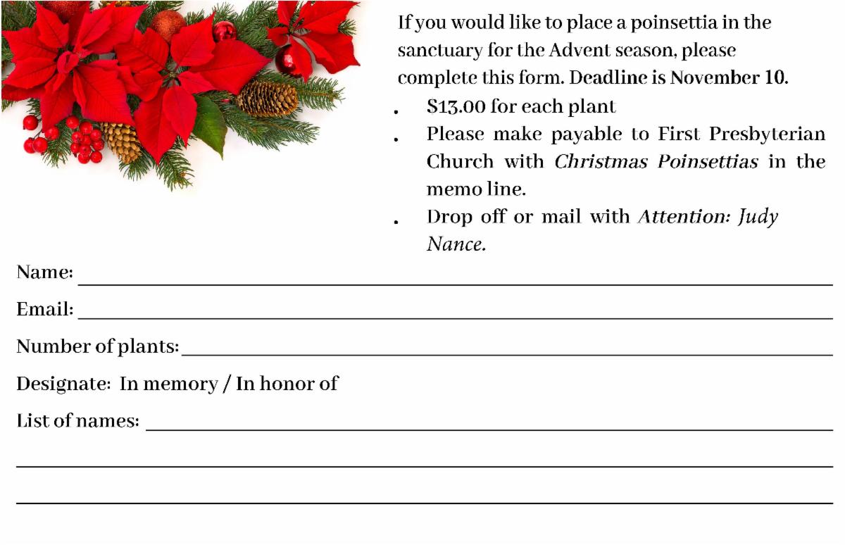 First Things Newsletter