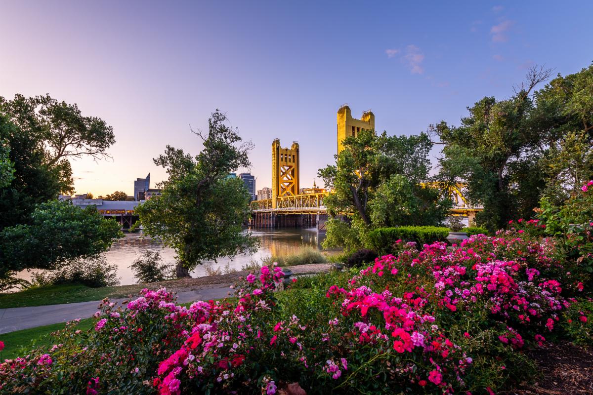 Photo of the bridge in Sacramento, the river, and flowers.