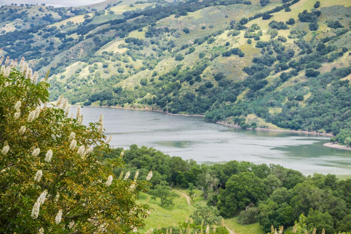 Photo of a river