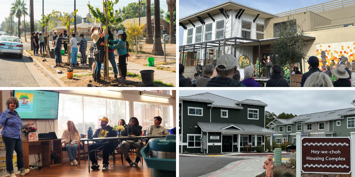 Photos from four programs.