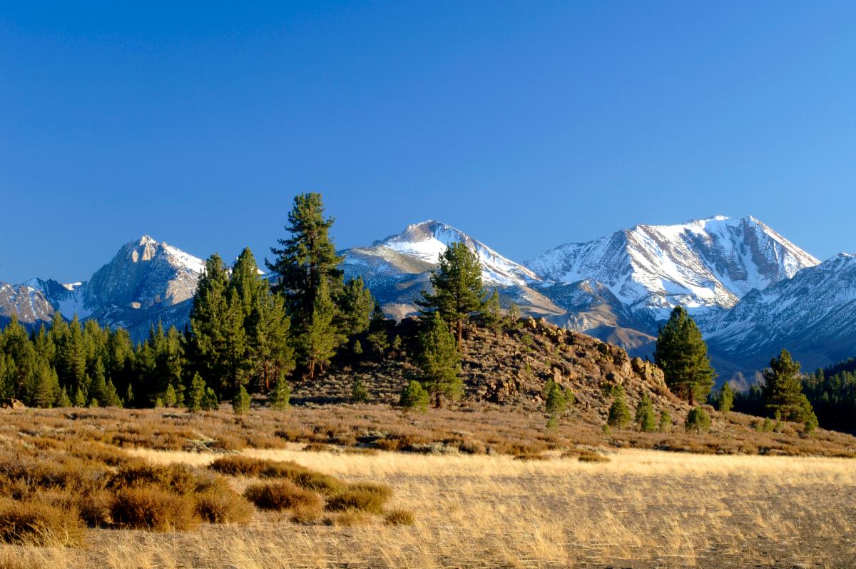 A photo of mountains and a meadow