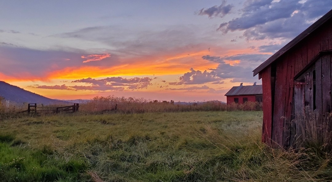 Photo of farmland and buildings that are part of a SALC-funded project