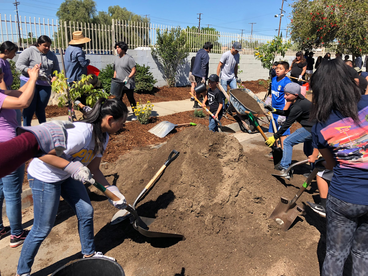 People digging spots for trees