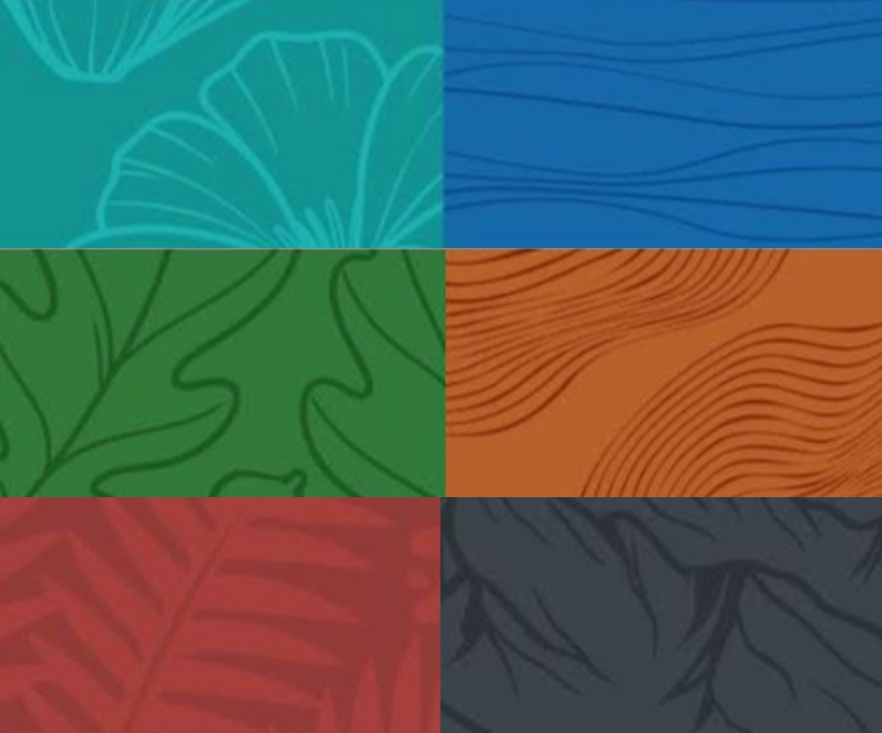 A graphic with six patterns in different colors.