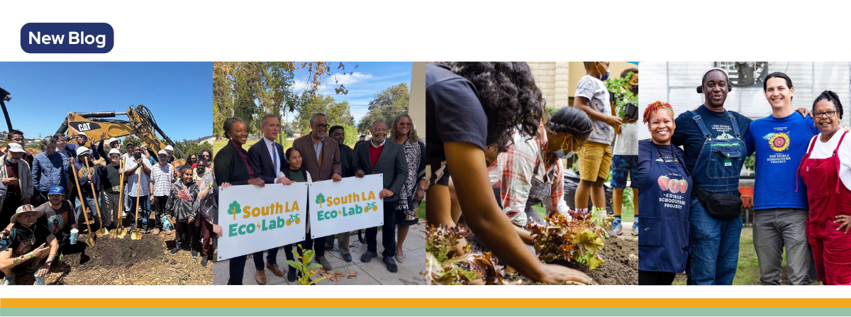 Photos of people involved in TCC projects across the state