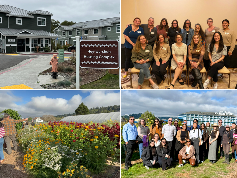 Collage of four photos from Tribal Programs outreach and projects
