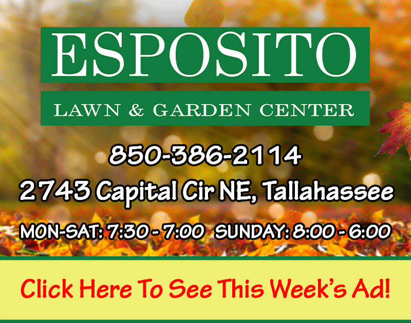 It's Always 5 O'Clock at Lily's Gifts!