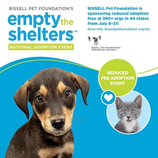 Empty the Shelters info