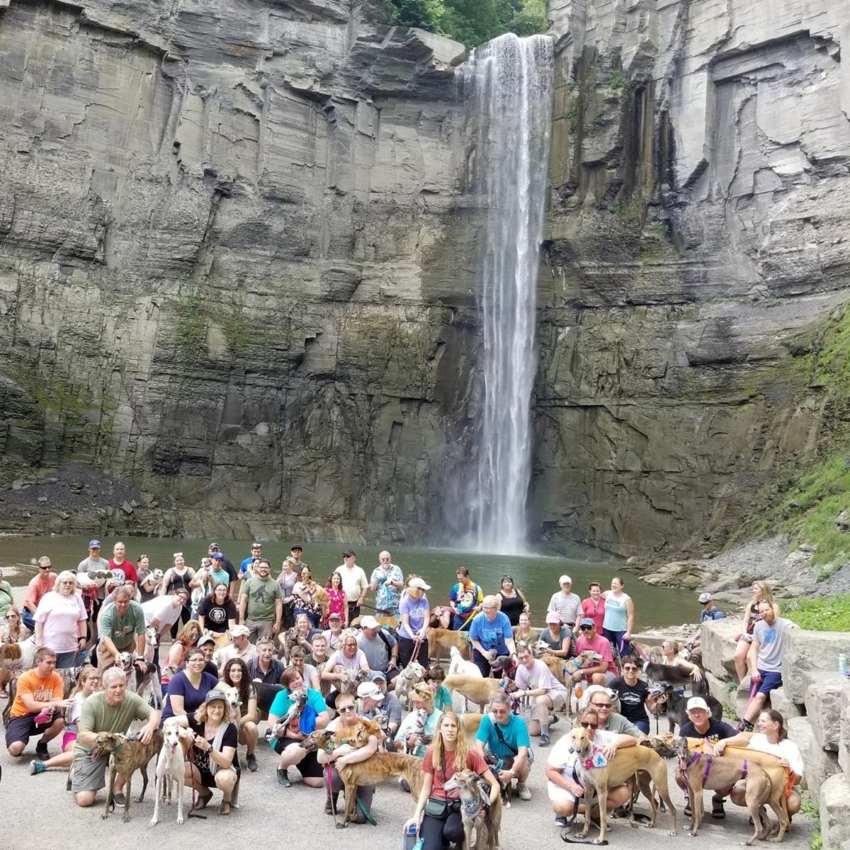Grapehound Festival attendees