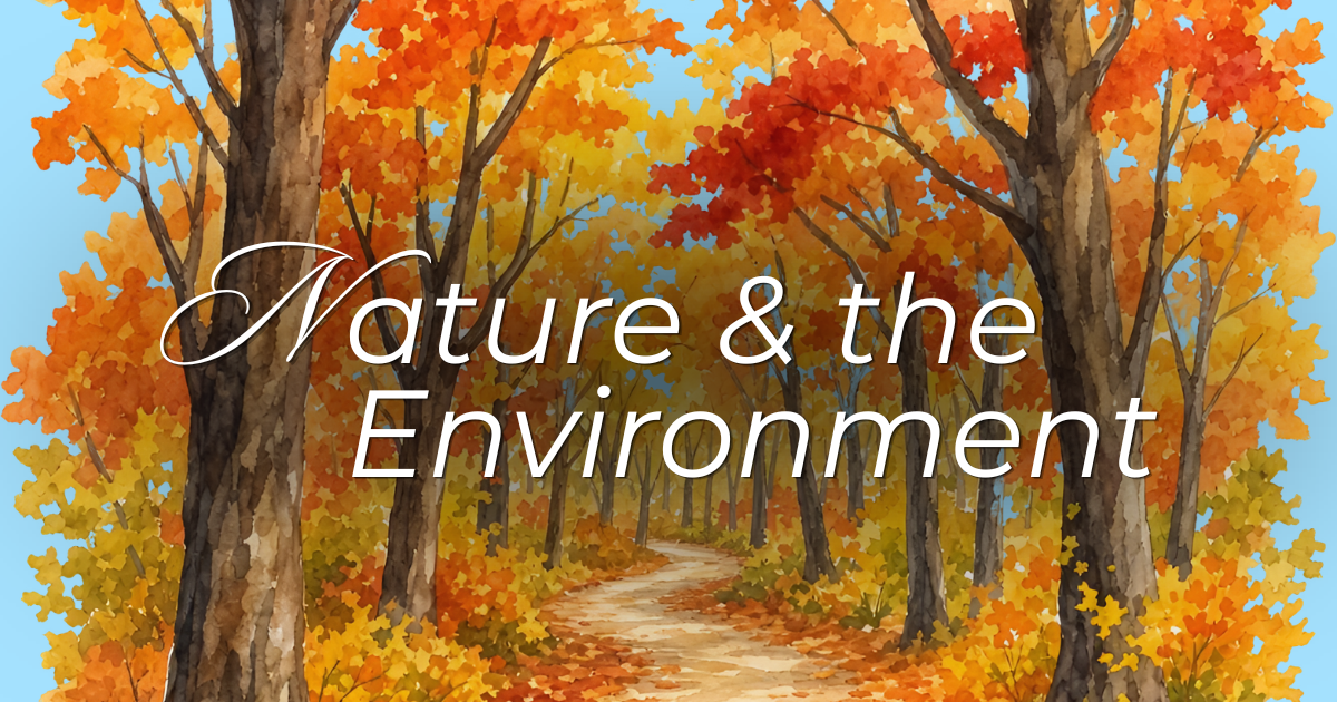 fall foliage forest with a walking path in the middle.  The words "Nature & Environment" are in the middle of the image.
