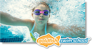 [Goldfish Swim School]