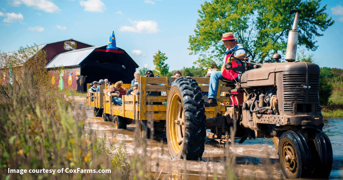 [Kick-Off Fall Festival Season]