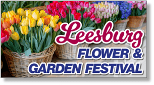 [Leesburg Flower & Garden Festival]