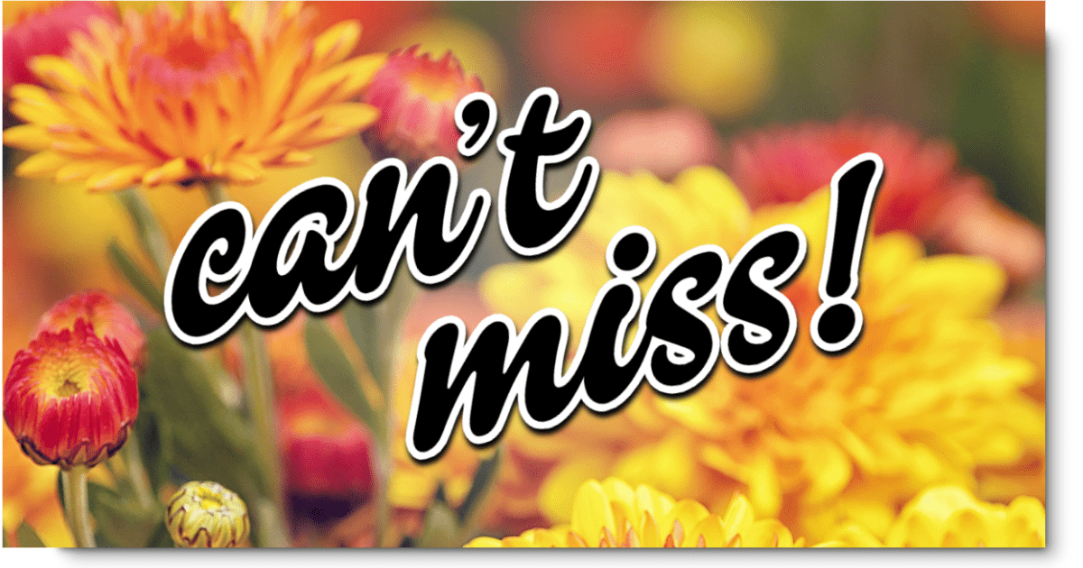 [Can't-Miss Weekend Fun!]
