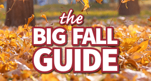[The Big Fall Guide]