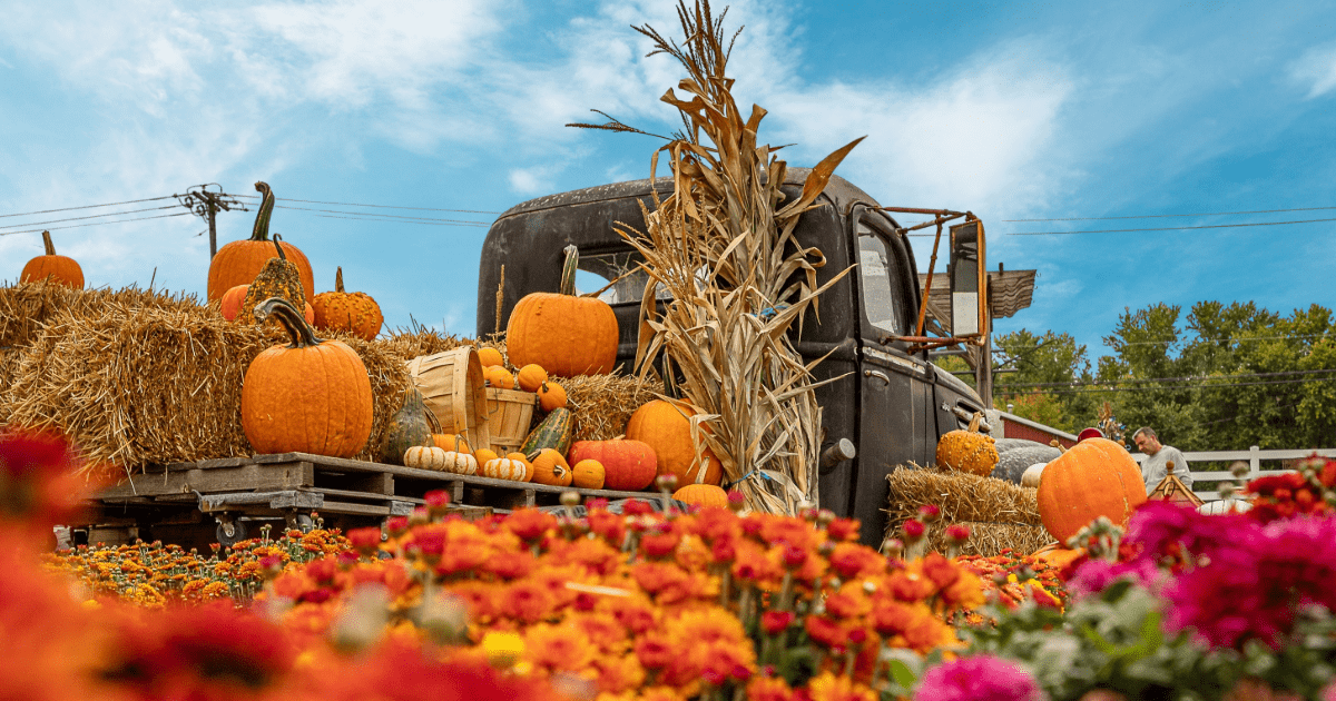 [The Big Fall Guide]