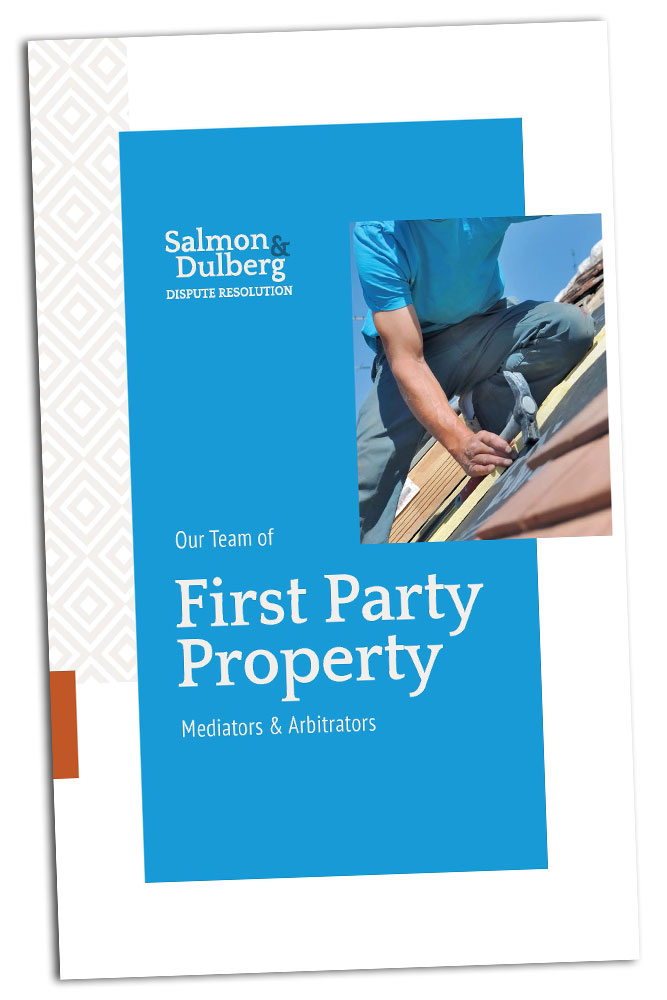 Salmon Dulberg First Party Property Team booklet