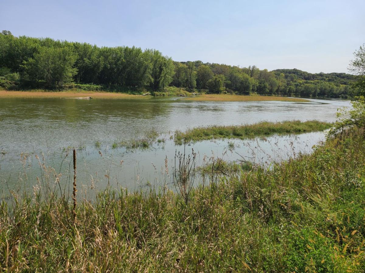 Fort Dodge History People Walter Goodrich, early Lehigh settler