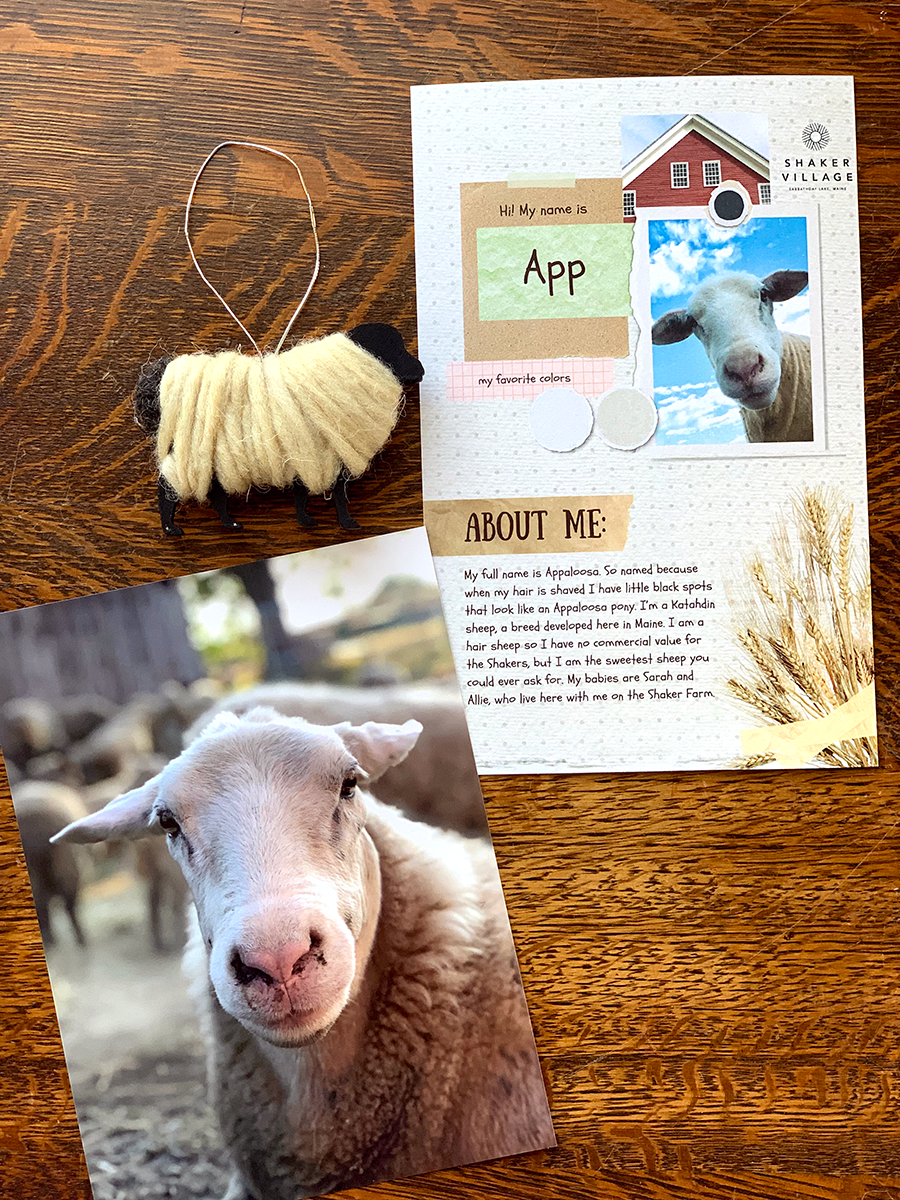 Sponsorship Gift Package