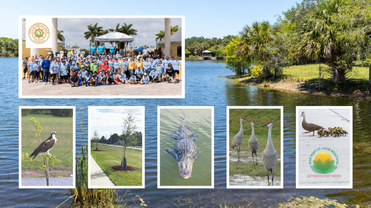 Keep port saint lucie beautiful wall paper of photos